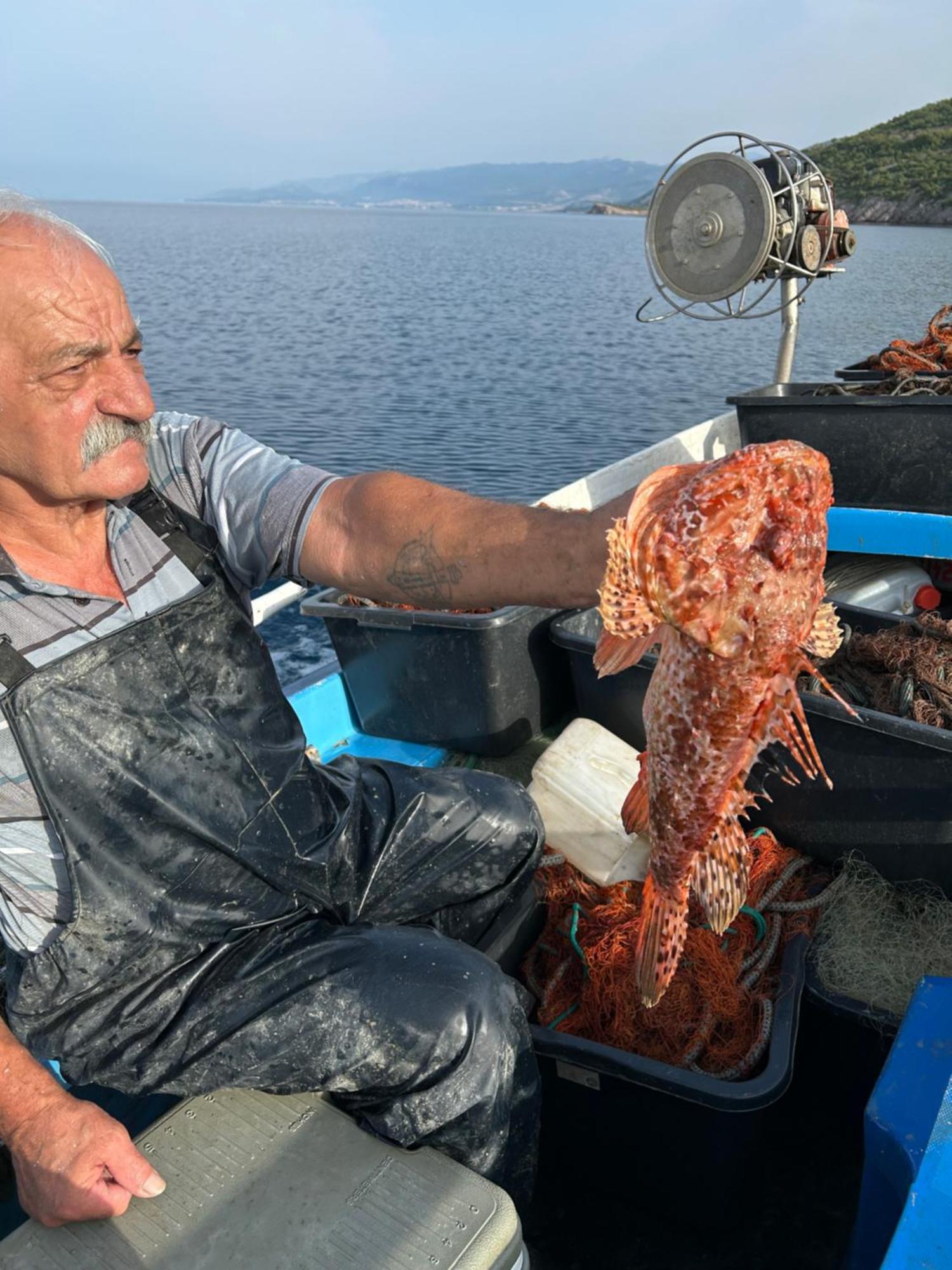 Villa Haus Niko Senj  Eksteriør billede